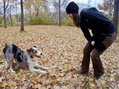 freestyle canin en plein-air avec Banjo