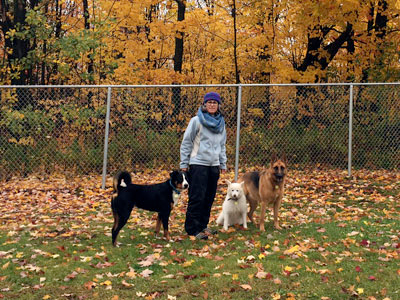 pension pour chien avec grand enclos extérieur montérégie